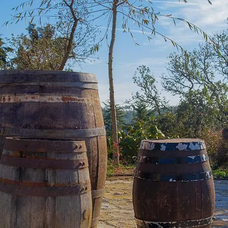 Cerrado Das Fontainhas * Sintra