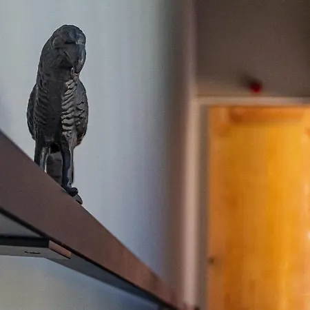 Séjour à la ferme Cerrado Das Fontainhas *