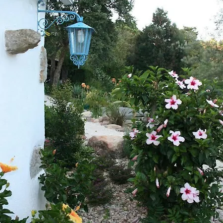 Фермерский дом Cerrado Fontainhas *