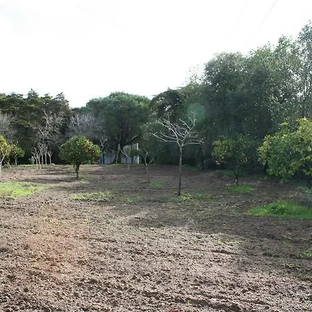 Séjour à la ferme Cerrado Das Fontainhas Sintra