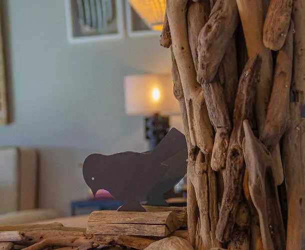 Cerrado Fontainhas Gospodarstwo agroturystyczne