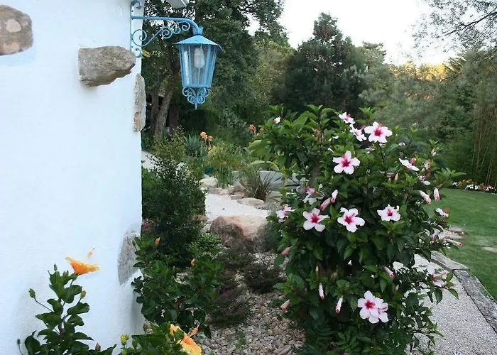 Gospodarstwo agroturystyczne Cerrado Fontainhas *